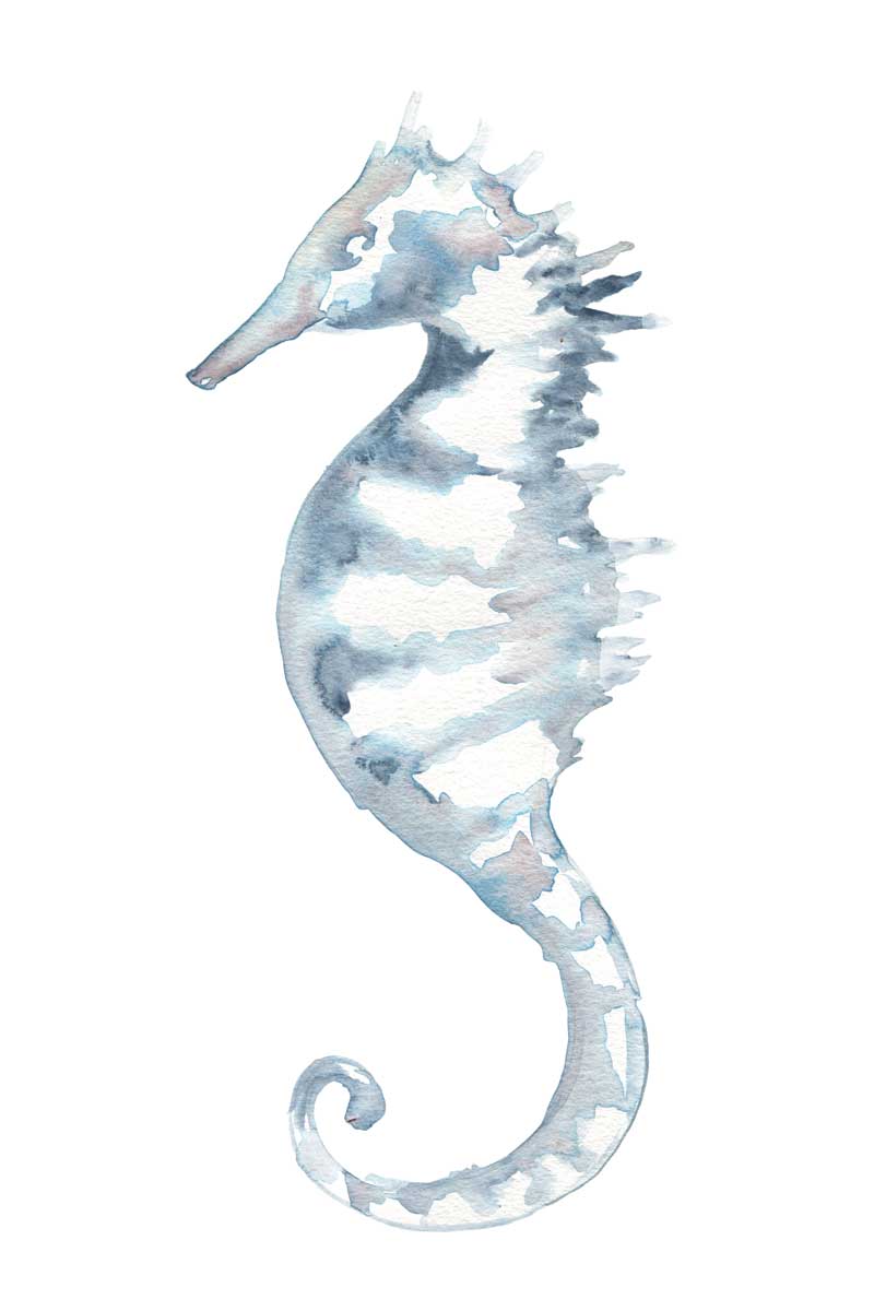 Beach Sea Horse